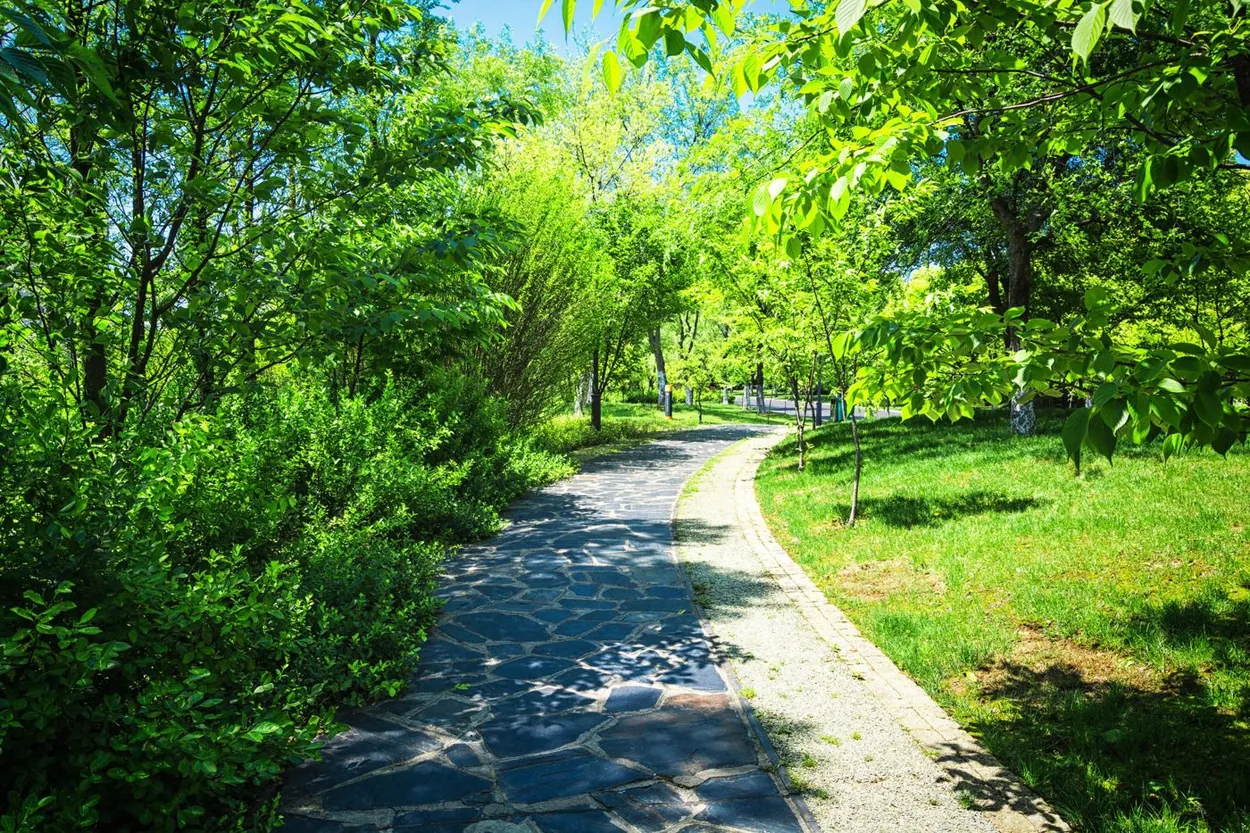 Sonniger Weg durch einen grünen Park